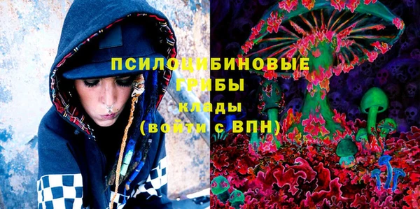 мдпв Магас