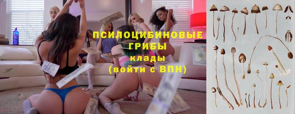мдпв Магас